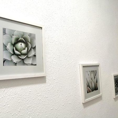 Room In The Center Of Alicante! Exterior foto
